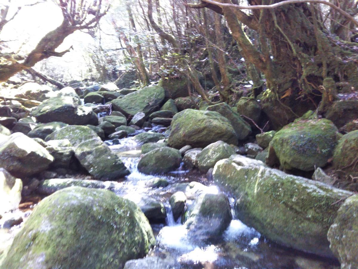 Cottage Yakusugi House Yakushima (Kagoshima) Exterior foto