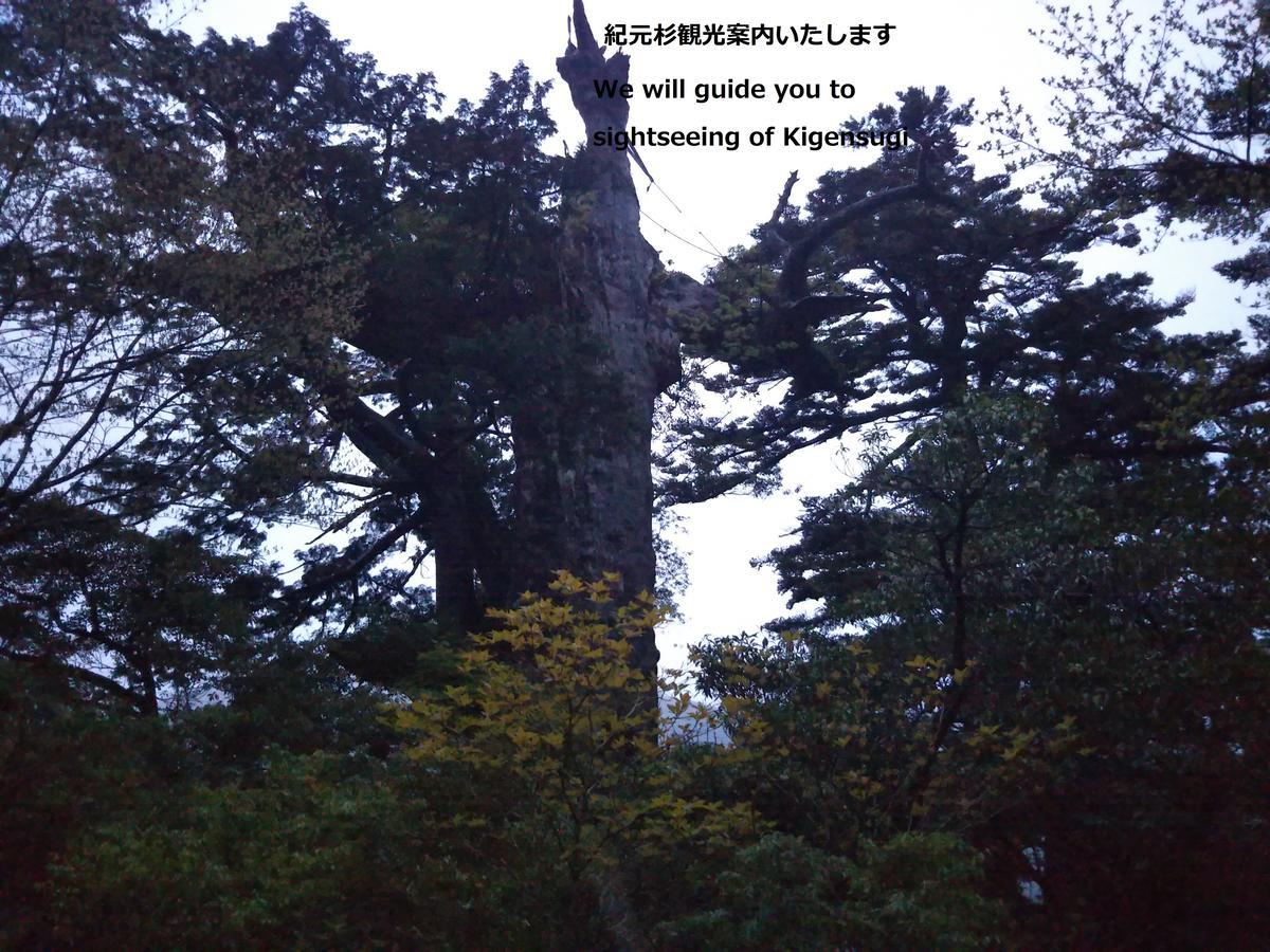 Cottage Yakusugi House Yakushima (Kagoshima) Exterior foto