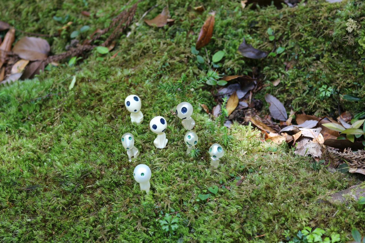 Cottage Yakusugi House Yakushima (Kagoshima) Exterior foto