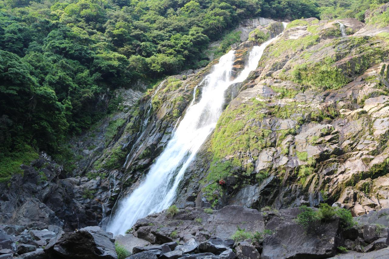 Cottage Yakusugi House Yakushima (Kagoshima) Exterior foto