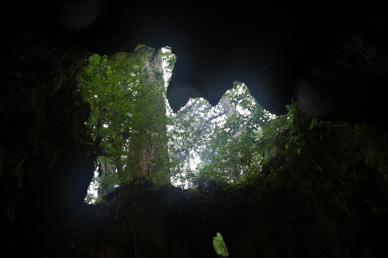 Cottage Yakusugi House Yakushima (Kagoshima) Exterior foto