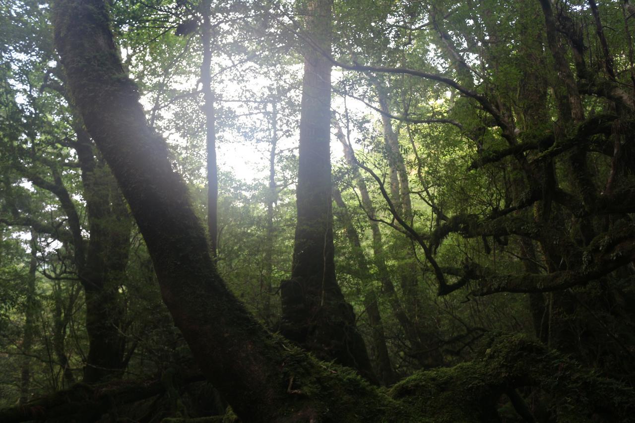 Cottage Yakusugi House Yakushima (Kagoshima) Exterior foto